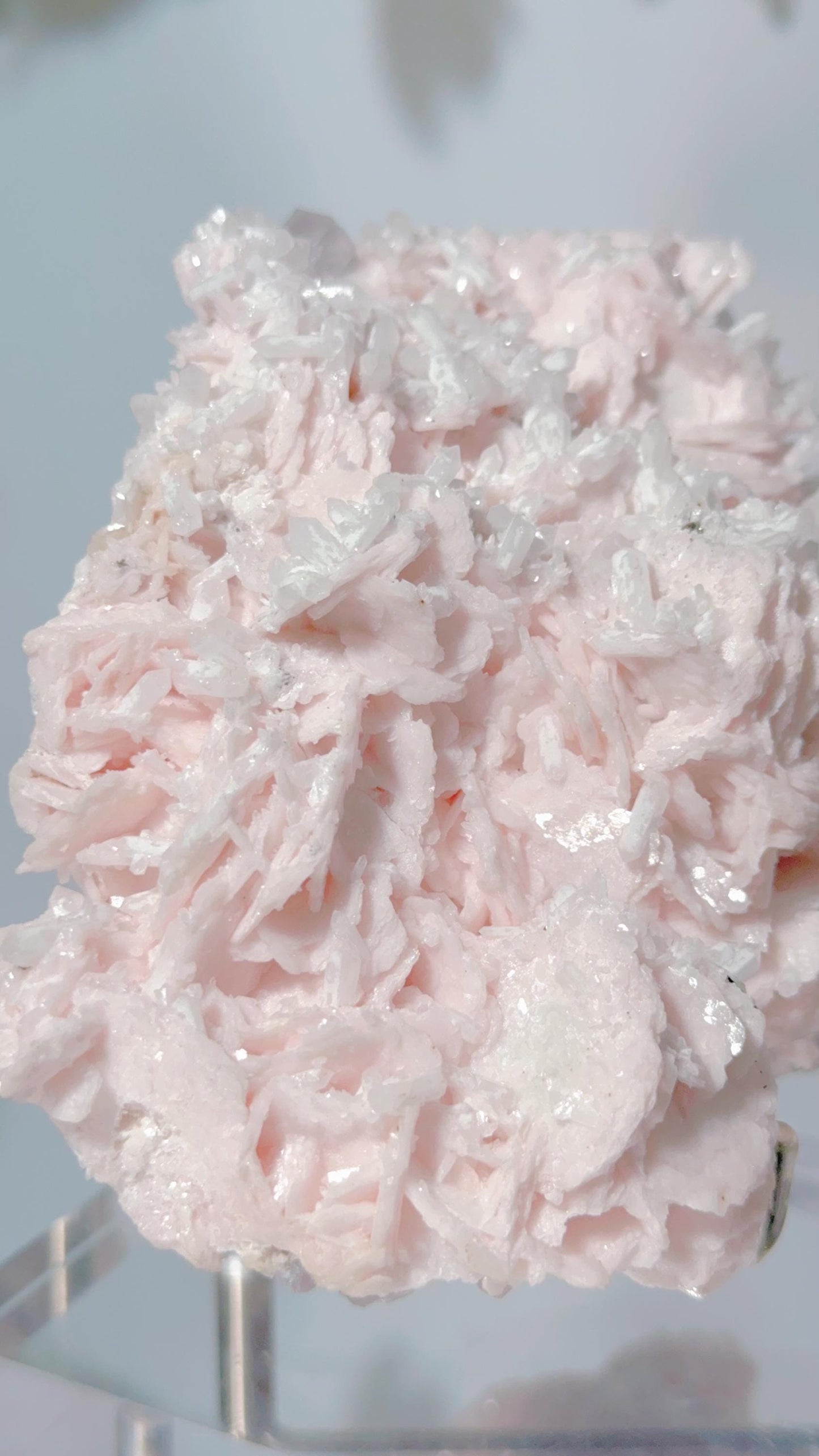 Rare- Collector piece ,Pink Manganese Calcite Yaogangxian, Hubei, China (RESERVE FOR TRINE)